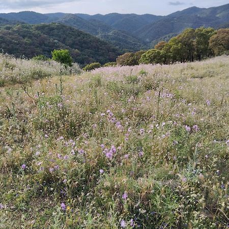 Casa Vacanze Lo Specchio Daire Iglesias Dış mekan fotoğraf